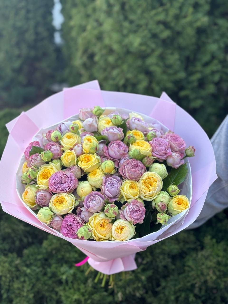 39 Roses Varieties Lavender and Peony