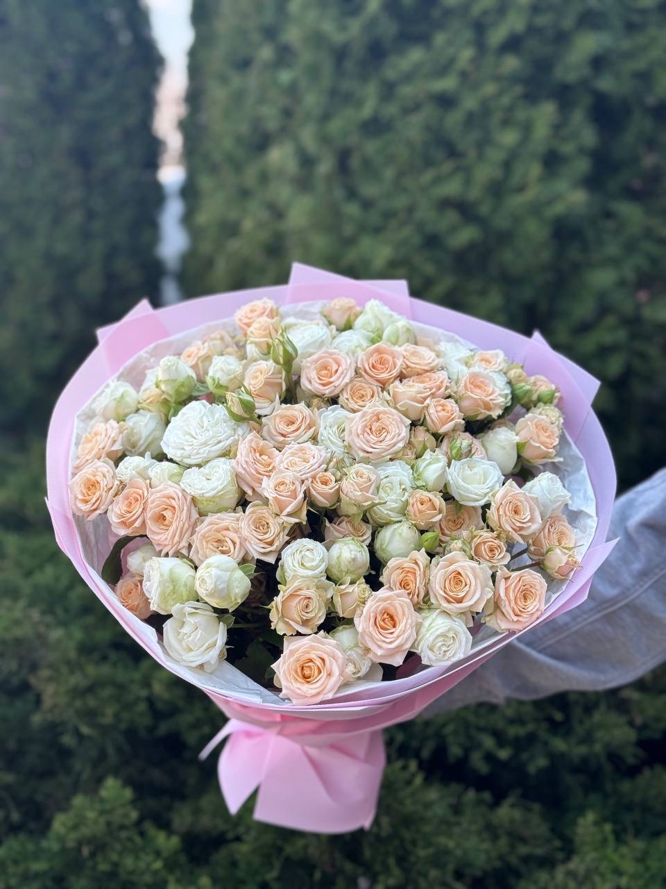 39 Roses Varieties Miss Bombastic and Tanja