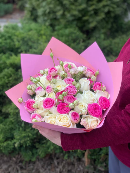 39 Roses Varieties Avalanche and Gelato
