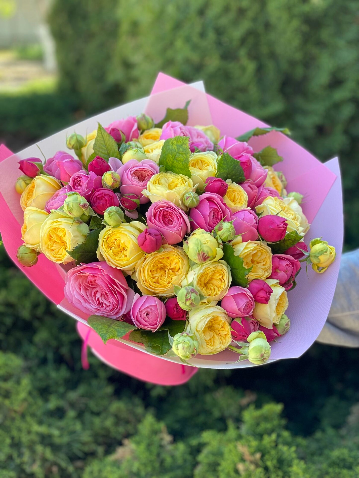 39 Peony Roses Varieties Light and Peony