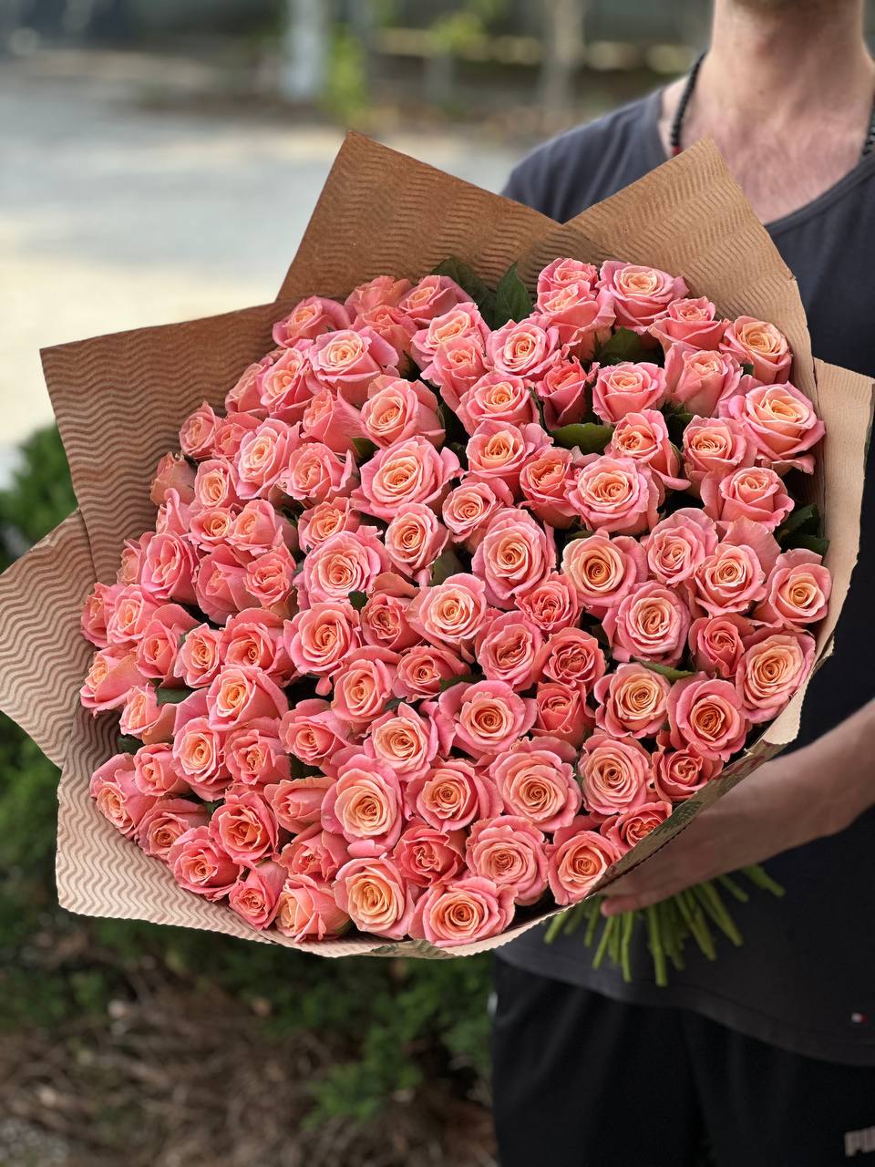 101 Roses Variety Miss Piggy