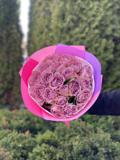 19 Roses Variety Purple Holland