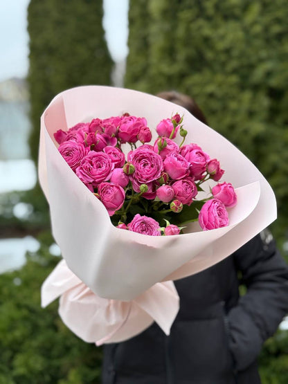 19 branchy peony roses, Lavenderlace variety