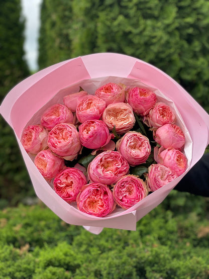 19 Roses Variety Harper Peony Roses