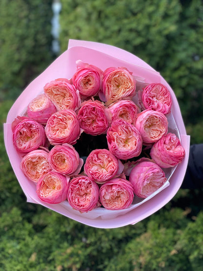 19 Roses Variety Harper Peony Roses