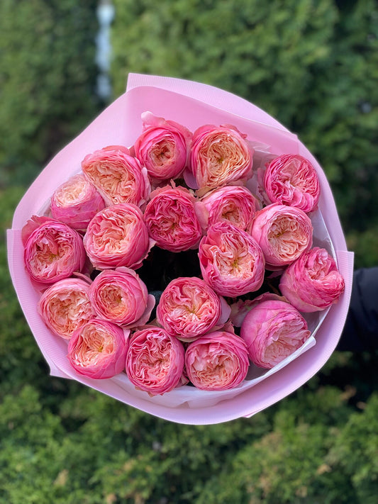 19 Roses Variety Harper Peony Roses