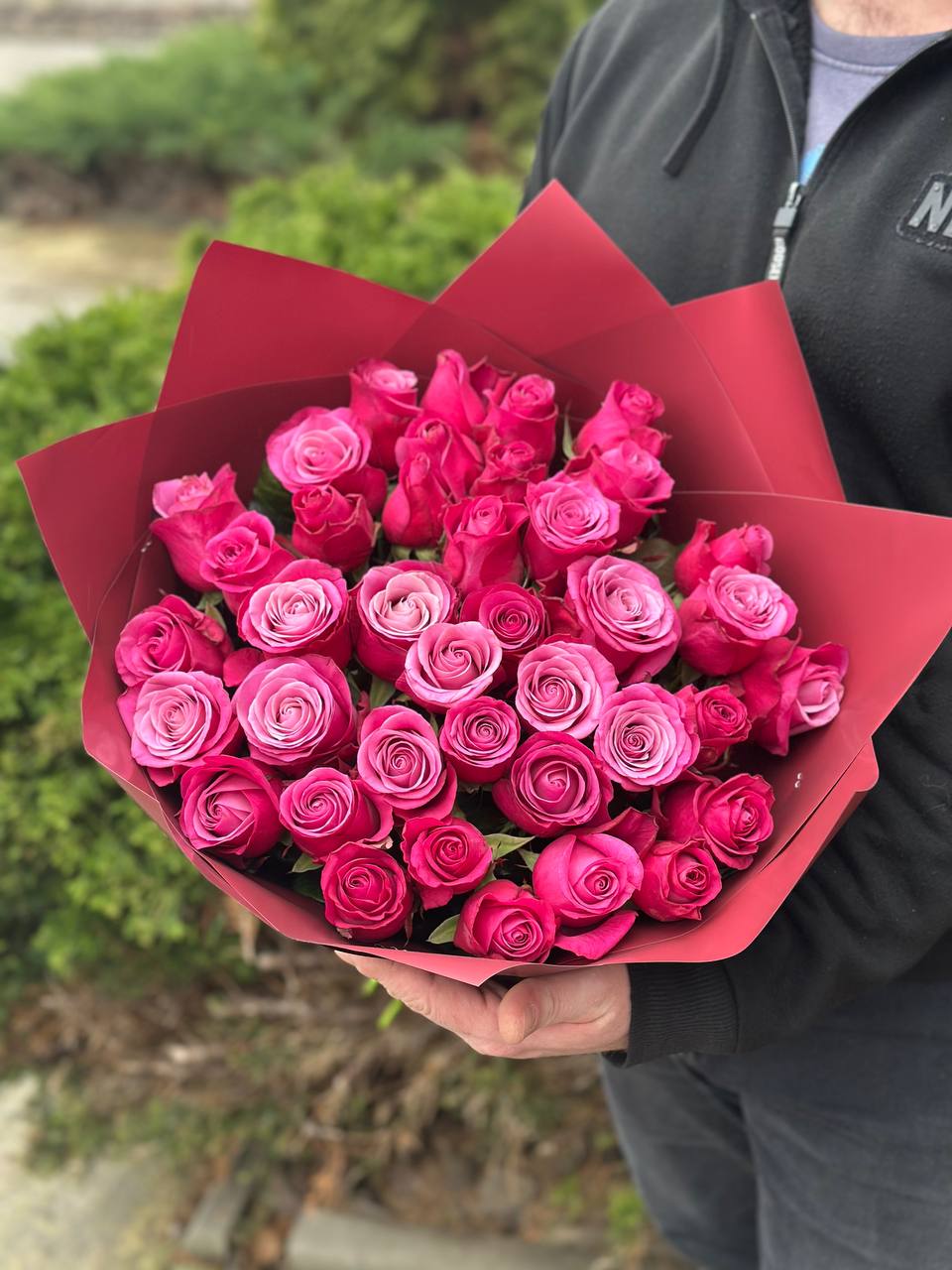 39 Roses Variety Prince of Persia