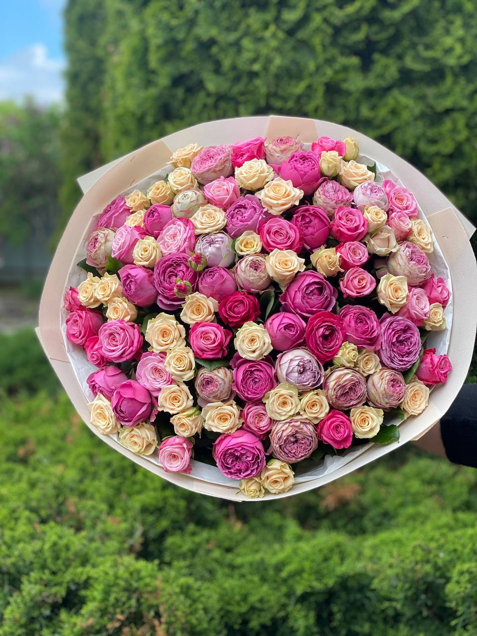 101 Spray Roses (Varieties Tanja, Lavender, Lavender Lace)
