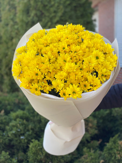 9 chrysanthemums (color Yellow, daisy-like)