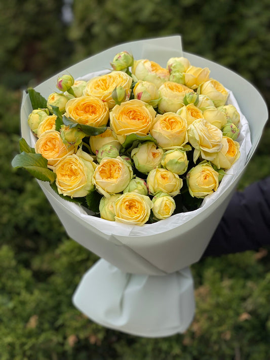 19 branched peony-like roses, Peony Bubbles variety