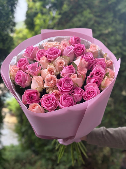 39 Roses Varieties Aqua and Kimberly