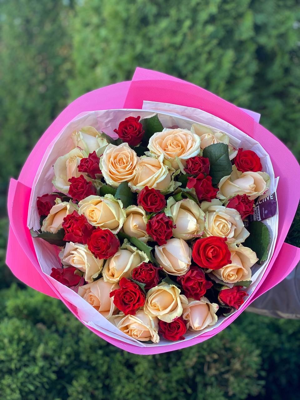 39 Roses Varieties El Toro and Peach Avalanche