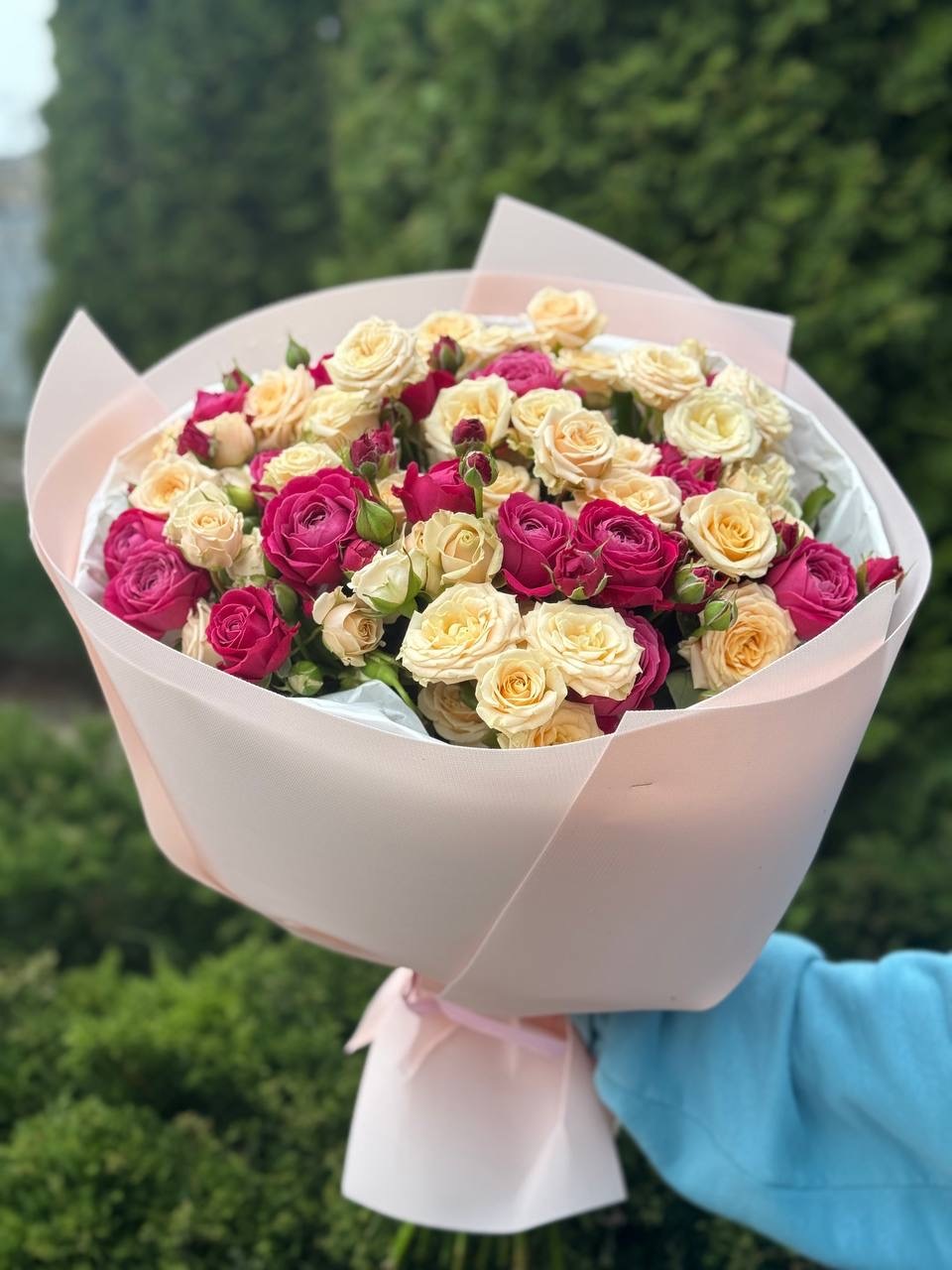 39 Peony Roses (Varieties Majestic and Tanja)