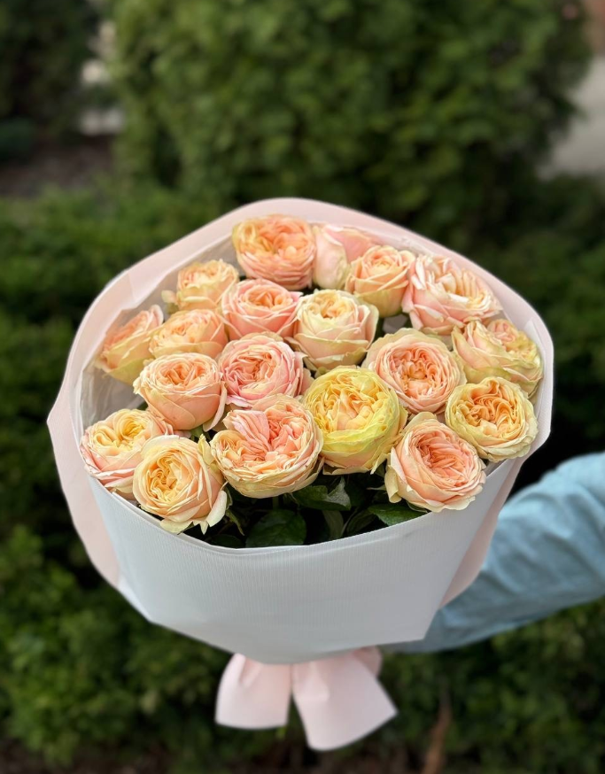 19 Roses Variety Priscilla Peony Roses