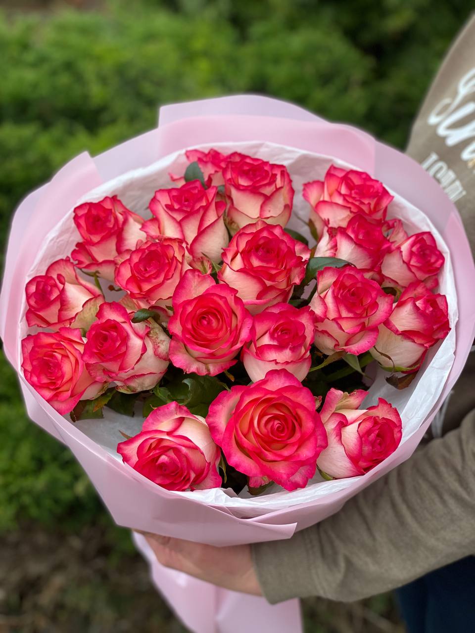 19 Roses Variety Jumilia