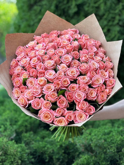101 Roses Variety Miss Piggy