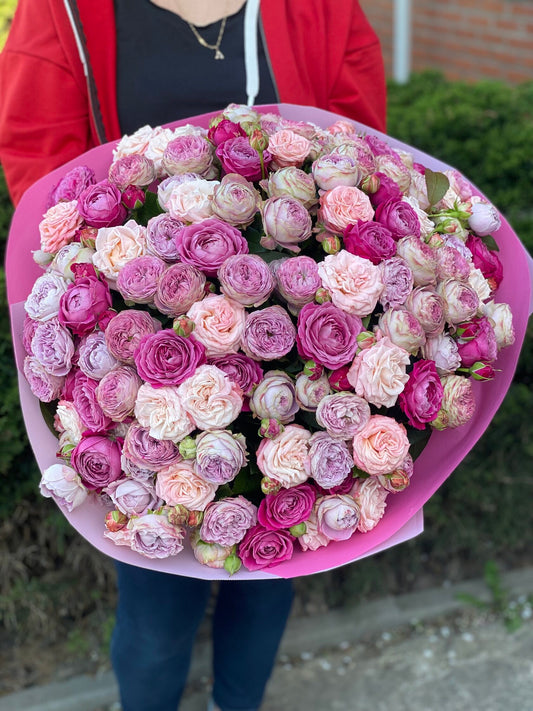101 Peony Roses Variety Majestic, Bombastic and Lavender
