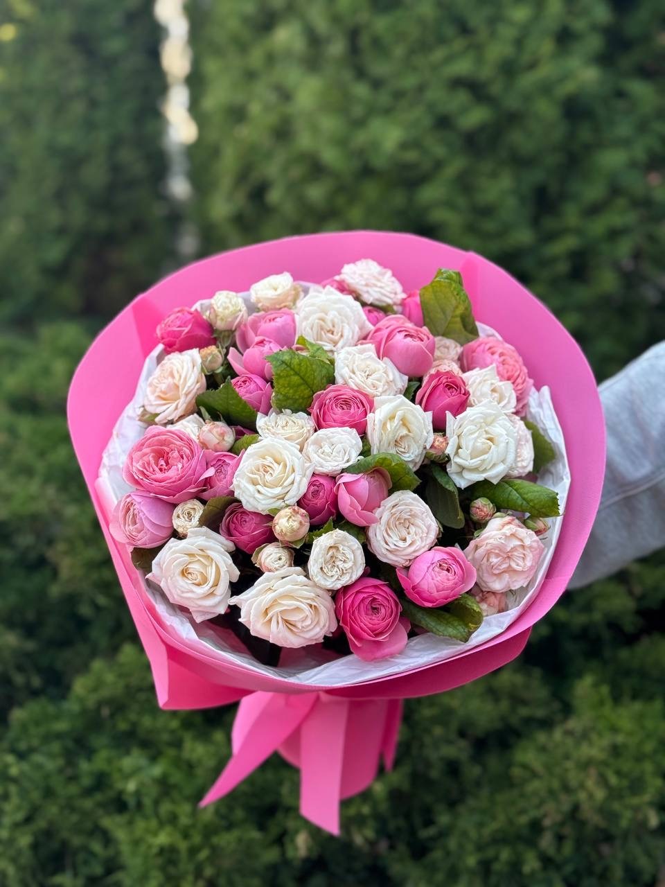 39 Roses Varieties Light and Bombastic