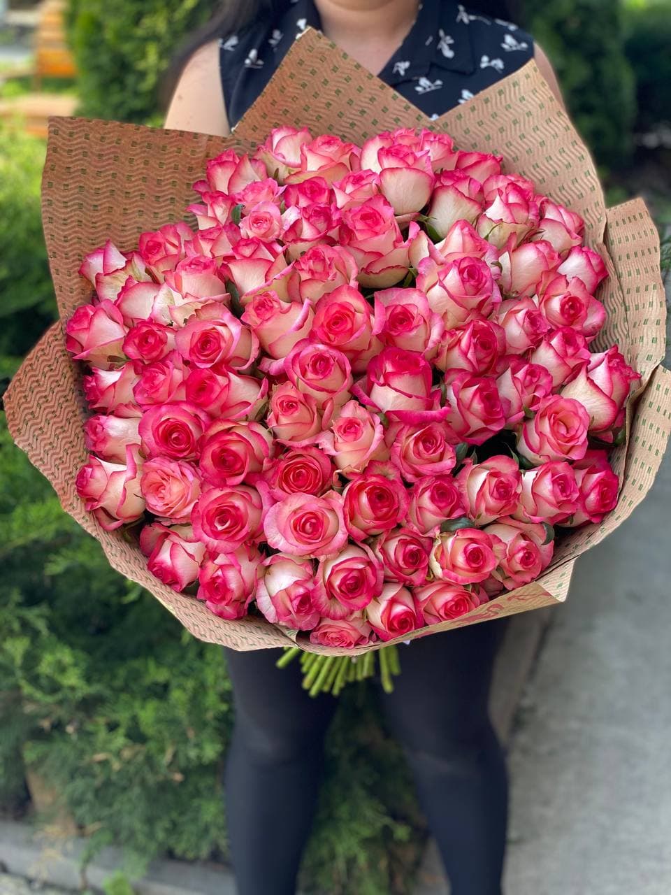 101 Roses Variety Jumilia
