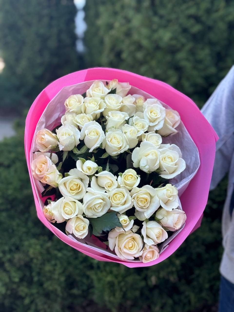 39 Roses Variety Beluga