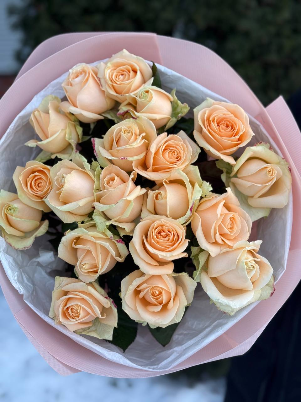 19 roses variety Peach Avalanche