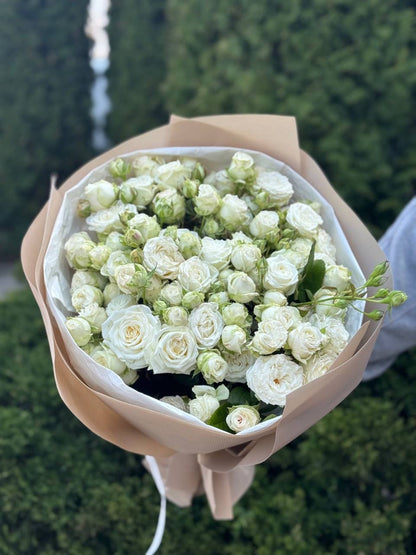 39 Spray Peony Roses Variety Miss Bombastic
