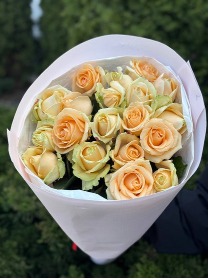 19 roses variety Peach Avalanche