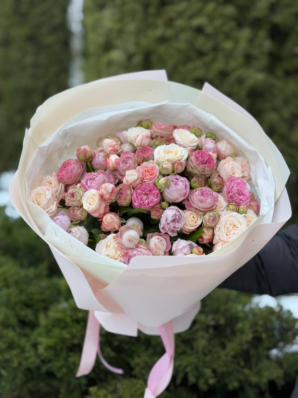39 Roses Varieties Bombastic and Lavender