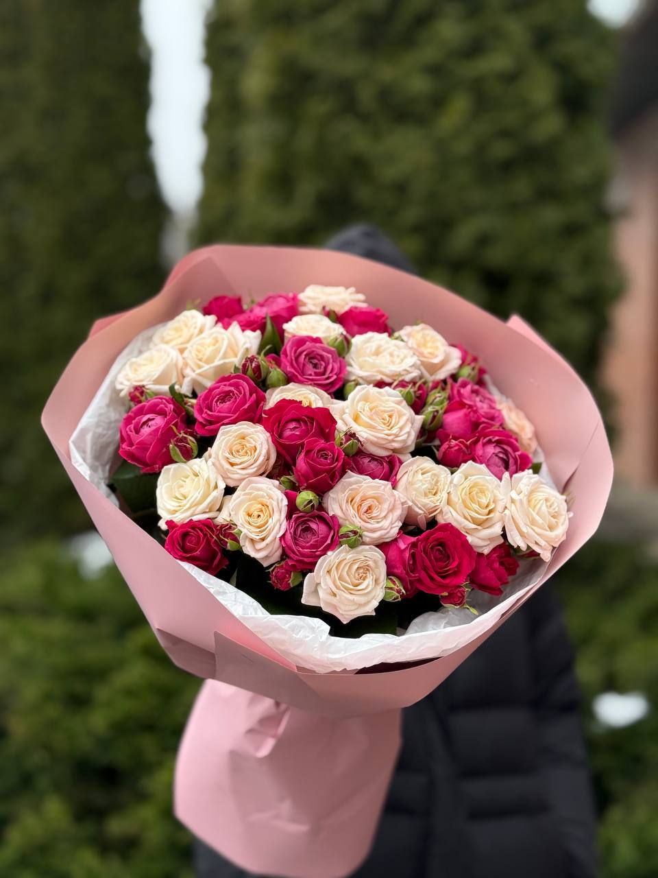 39 Roses Varieties Bombastic and Majestic
