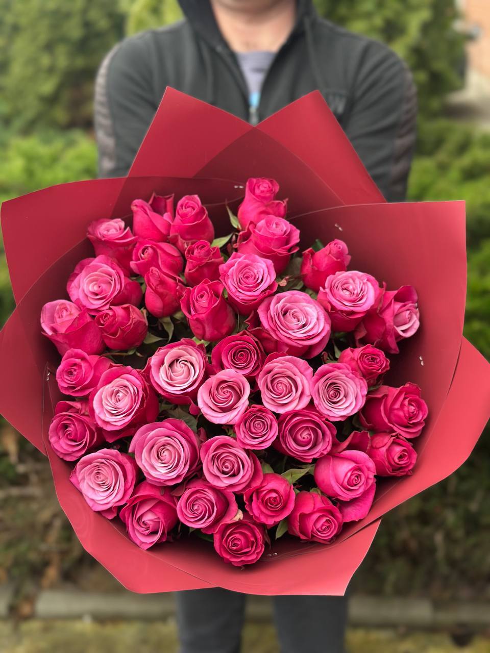 39 Roses Variety Prince of Persia