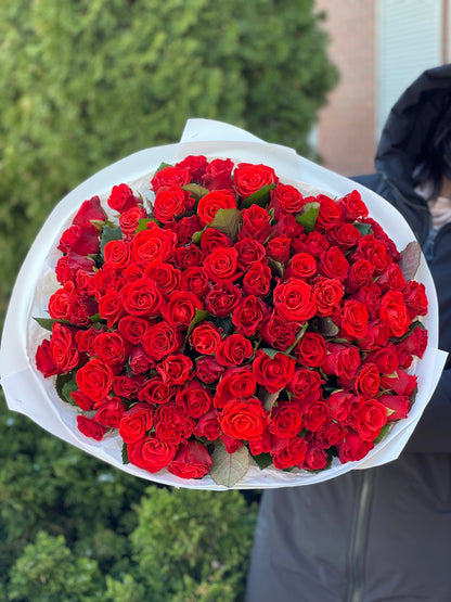 101 Roses Variety El Toro