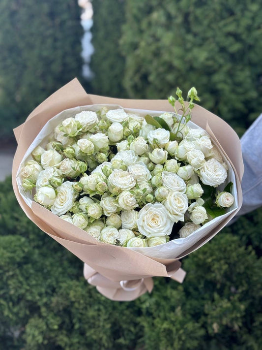19 Spray Peony Roses Variety Miss Bombastic
