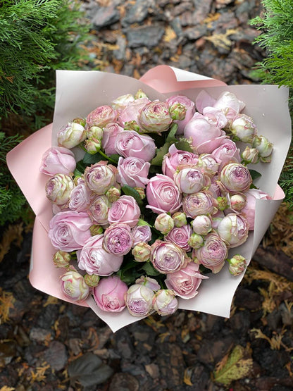 39 peony-shaped branch roses, Lavender variety