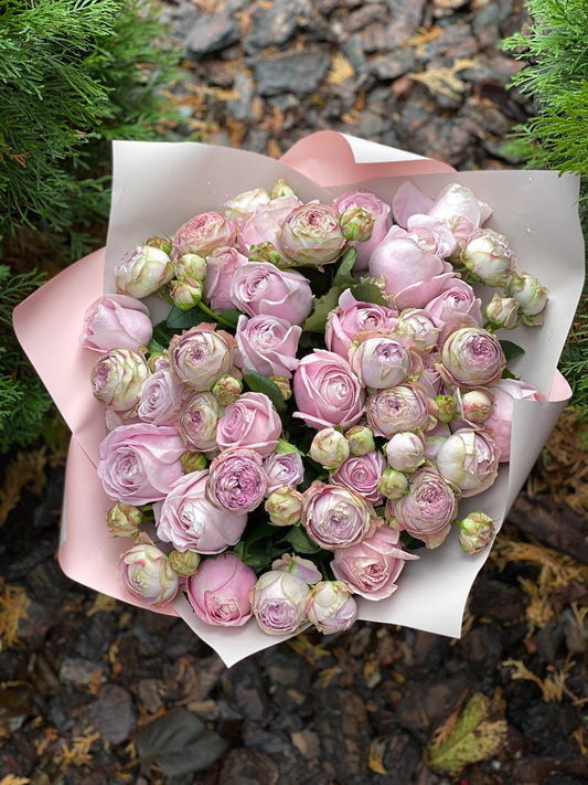 39 peony-shaped branch roses, Lavender variety