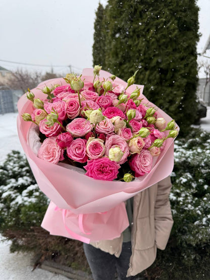 39 Roses Varieties Gelato and Lady Bombastic