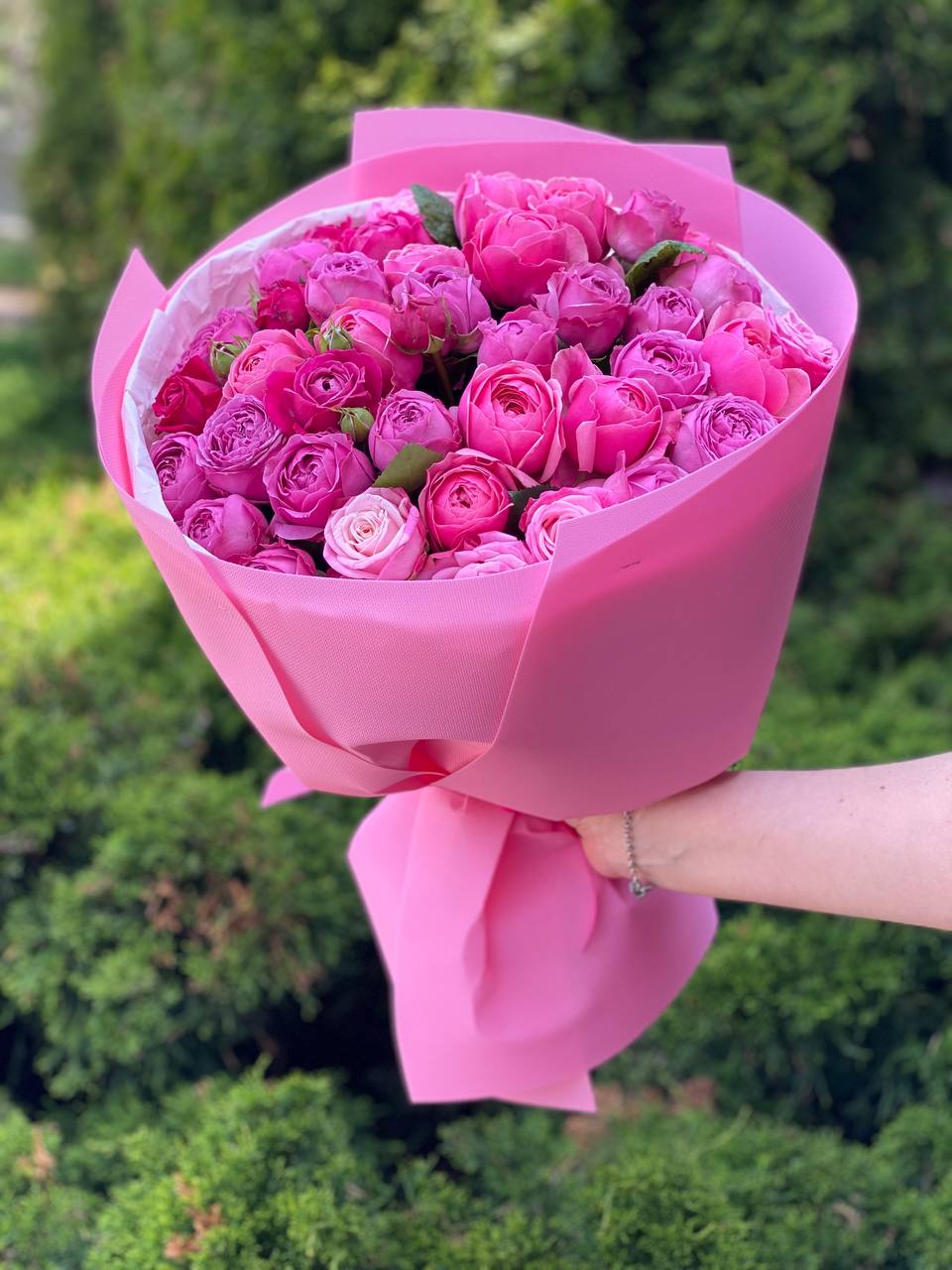 39 Peony Roses Varieties Light and Lavender Lace