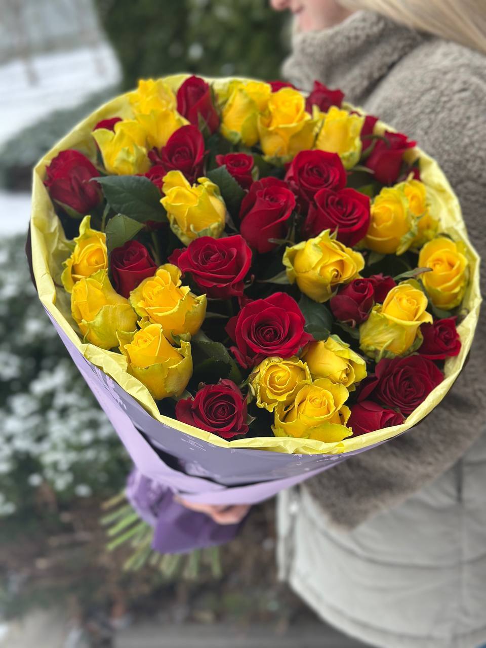 39 Roses Varieties Penny Lane and Grand Prix