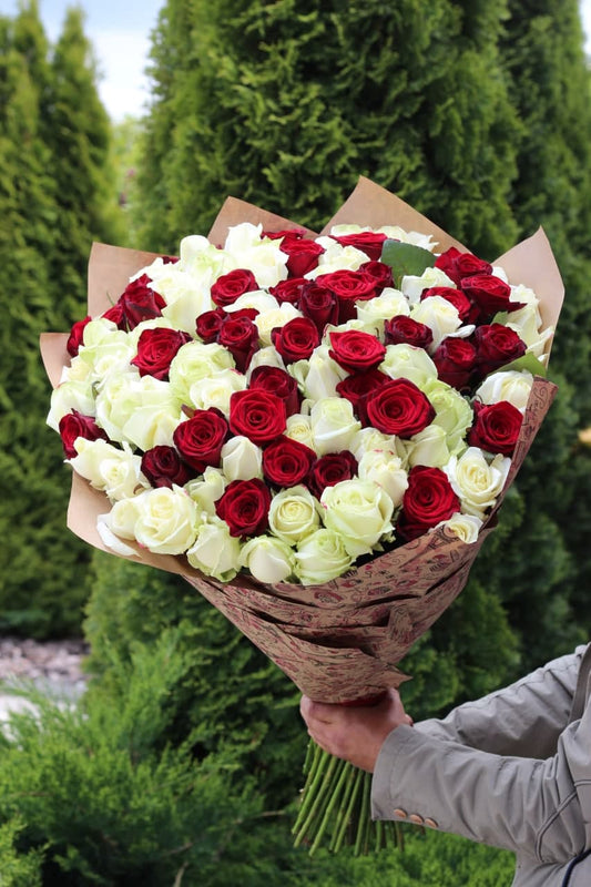 101 Roses Variety Avalanche and Grand Prix