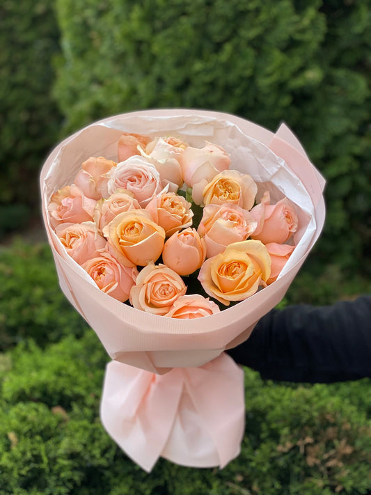 19 Roses Variety Ember Sun Powdery Peony Roses