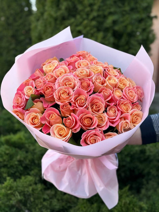51 roses of the Miss Piggy variety