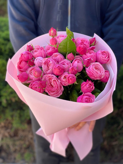 19 branchy peony roses, Lavender Light variety