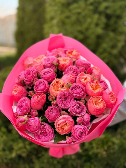 39 Roses Varieties Harper and Lavender Lace