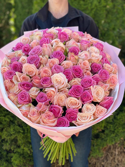 101 Roses Variety Kimberly and Aqua