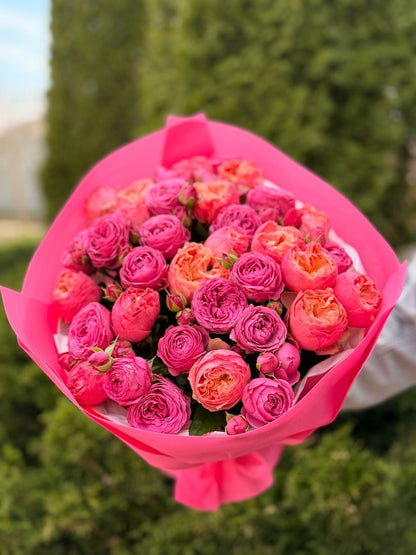 39 Roses Varieties Harper and Lavender Lace