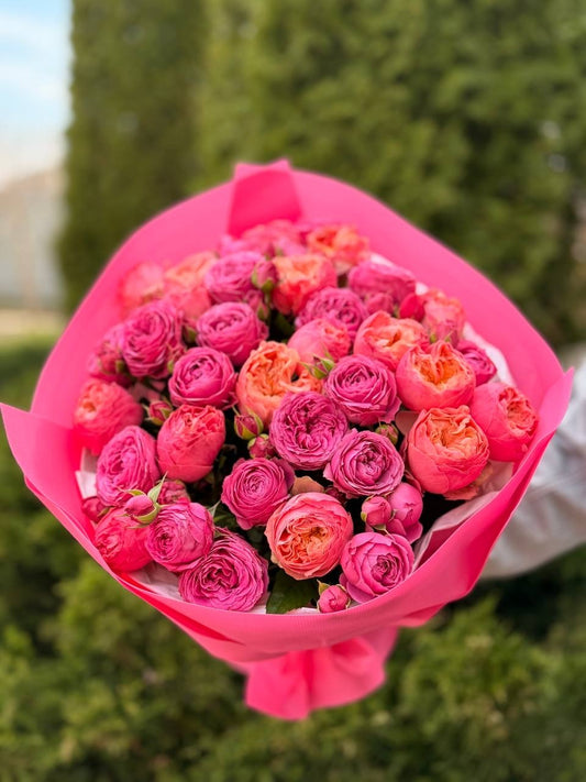 39 Roses Varieties Harper and Lavender Lace