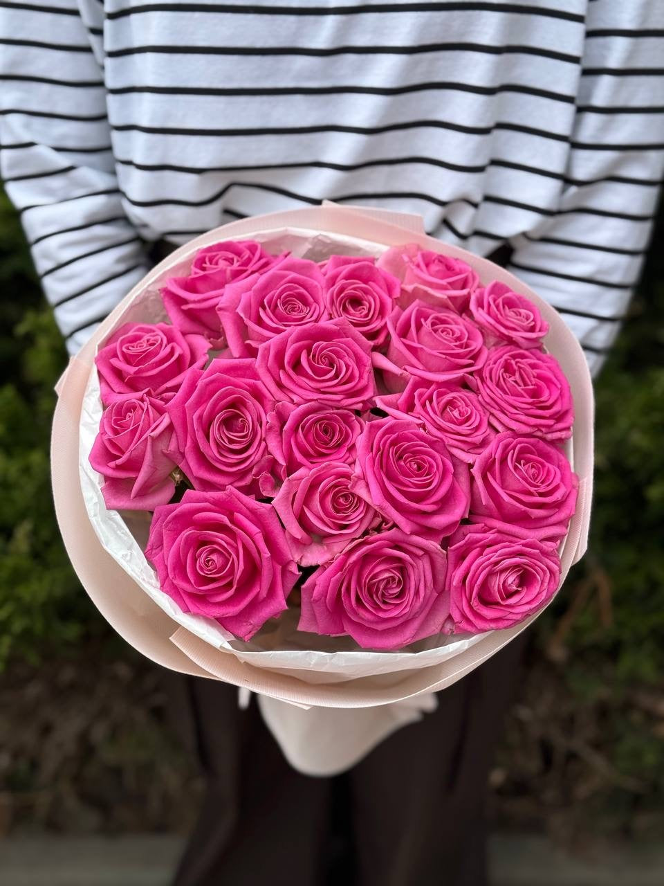 19 Roses Variety Aqua