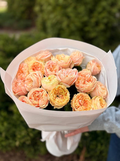 19 Roses Variety Cream Fragrance Peony Roses