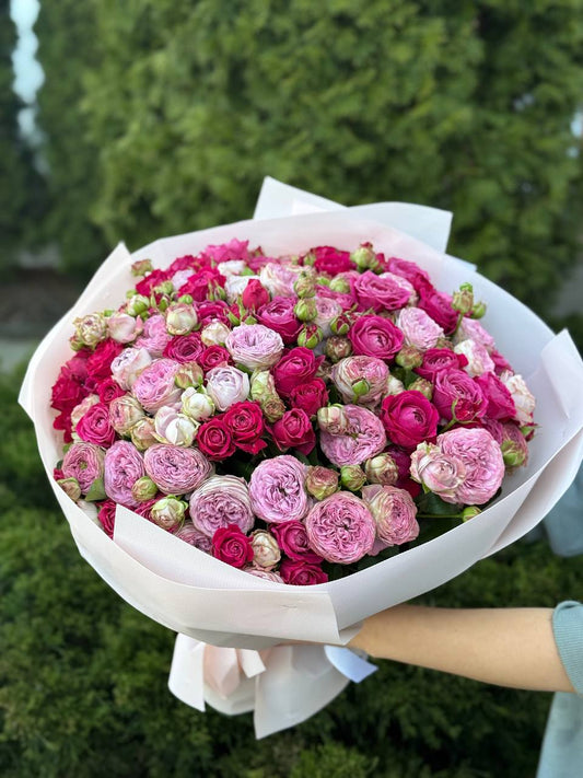 51 peony-shaped roses of the Lavender and Majestic varieties