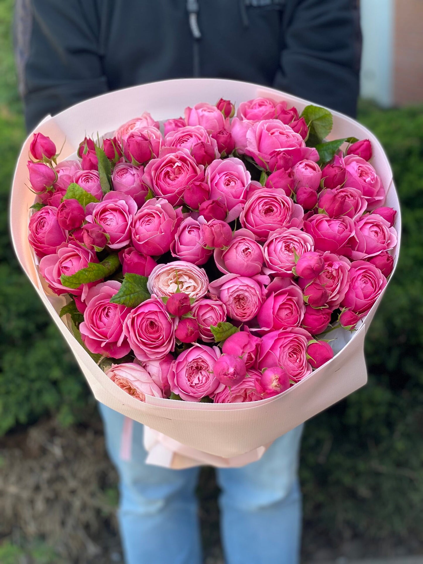 39 Peony Roses Variety Lavender Lace Light