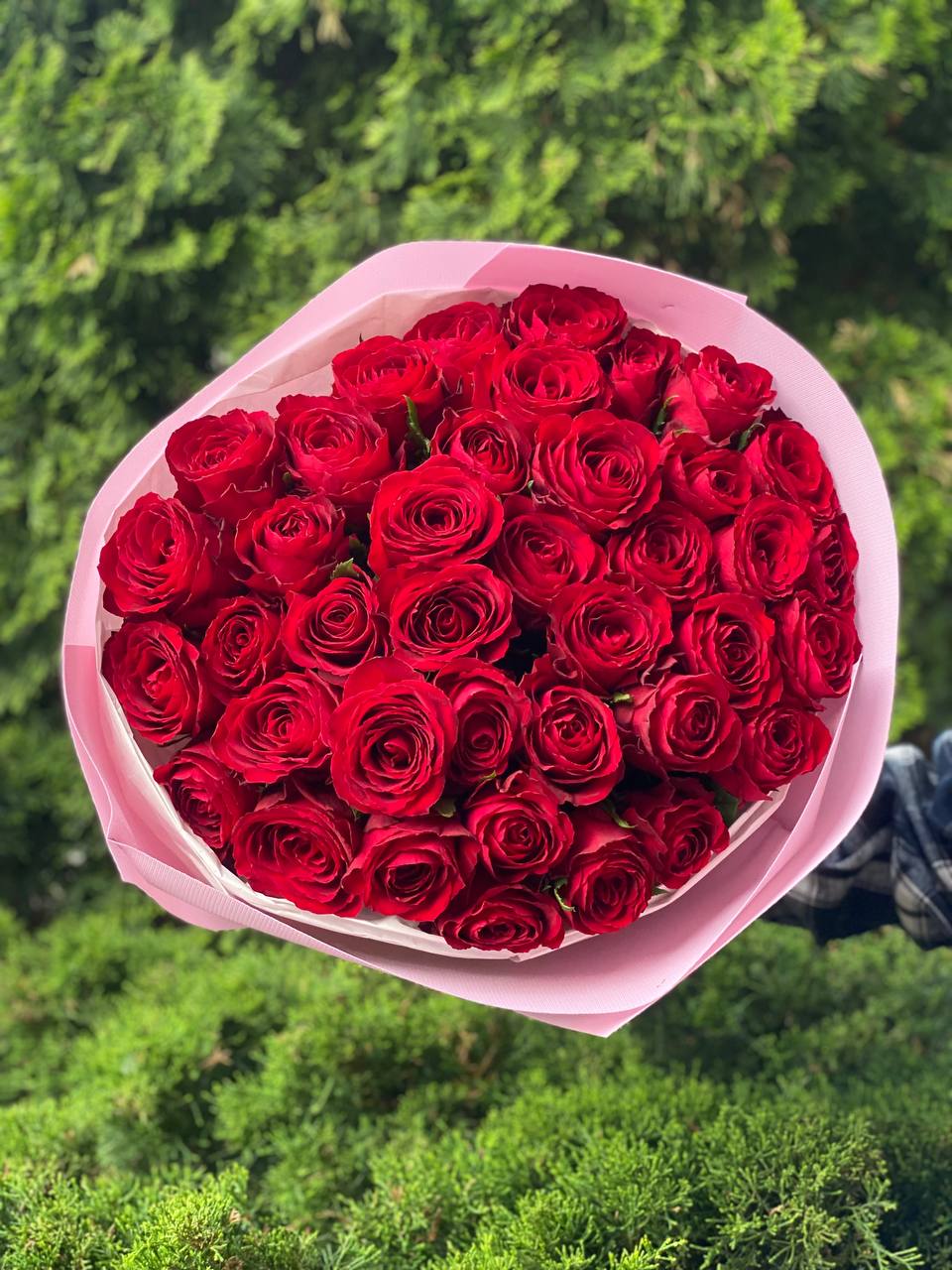39 Roses Variety Red Naomi